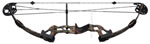 Reflex Bighorn Camo image